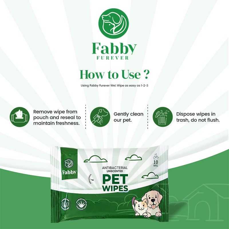 Fabby Furever Anti Tick & Flea Waterless Shampoo(200 ml) with Pet Wipes(10 Wipes), Safe & Gentle Grooming for All Breeds